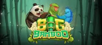 Big bamboo main image